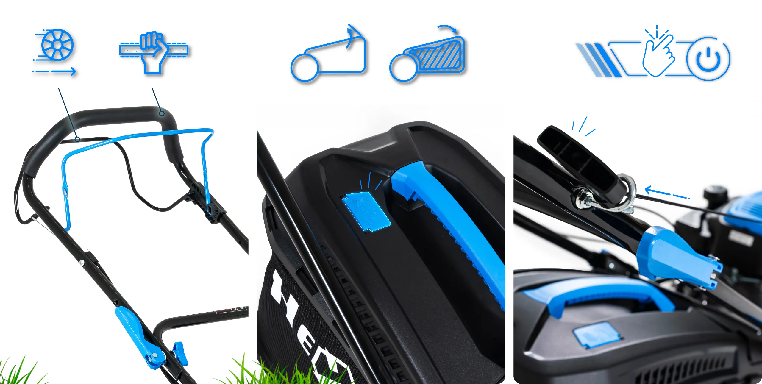 Najważniejsze cechy