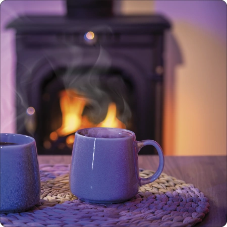 Fogão a lenha em ferro fundido AGNI 7 kW